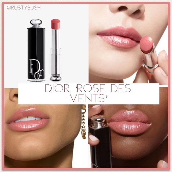 Dior Other - Dior 'Rose des Vents' Addict Shine Lipstick